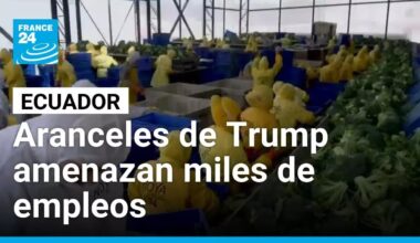 Aranceles del 15% impuestos por Trump ponen en riesgo miles de empleos en Ecuador