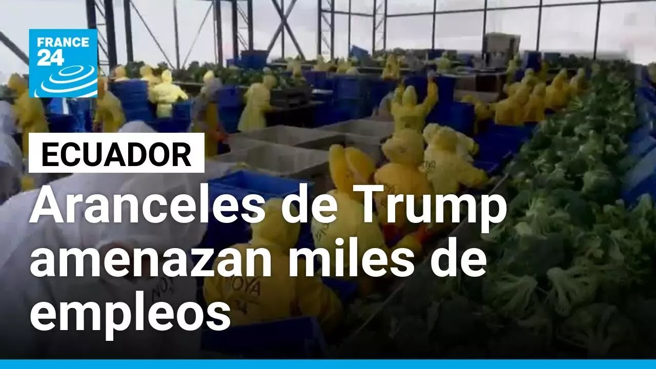 Aranceles del 15% impuestos por Trump ponen en riesgo miles de empleos en Ecuador