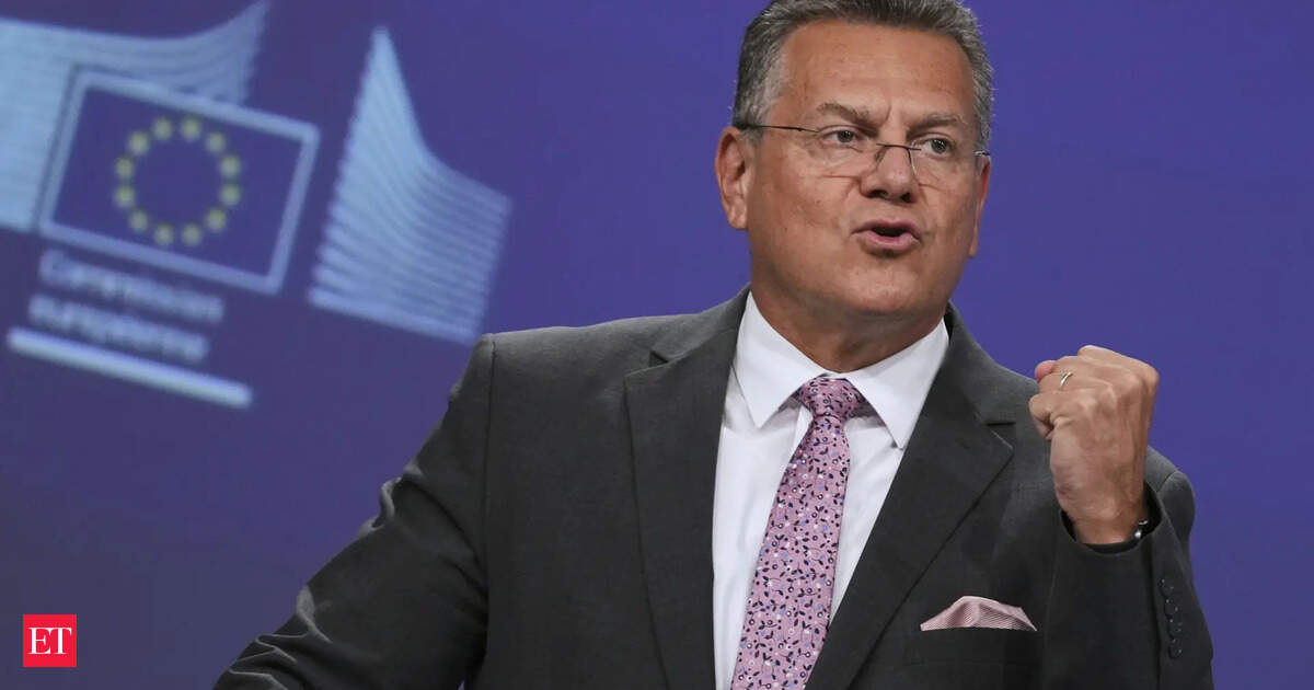 EU trade chief heads to India as deal talks make 'rapid progress', New Delhi says