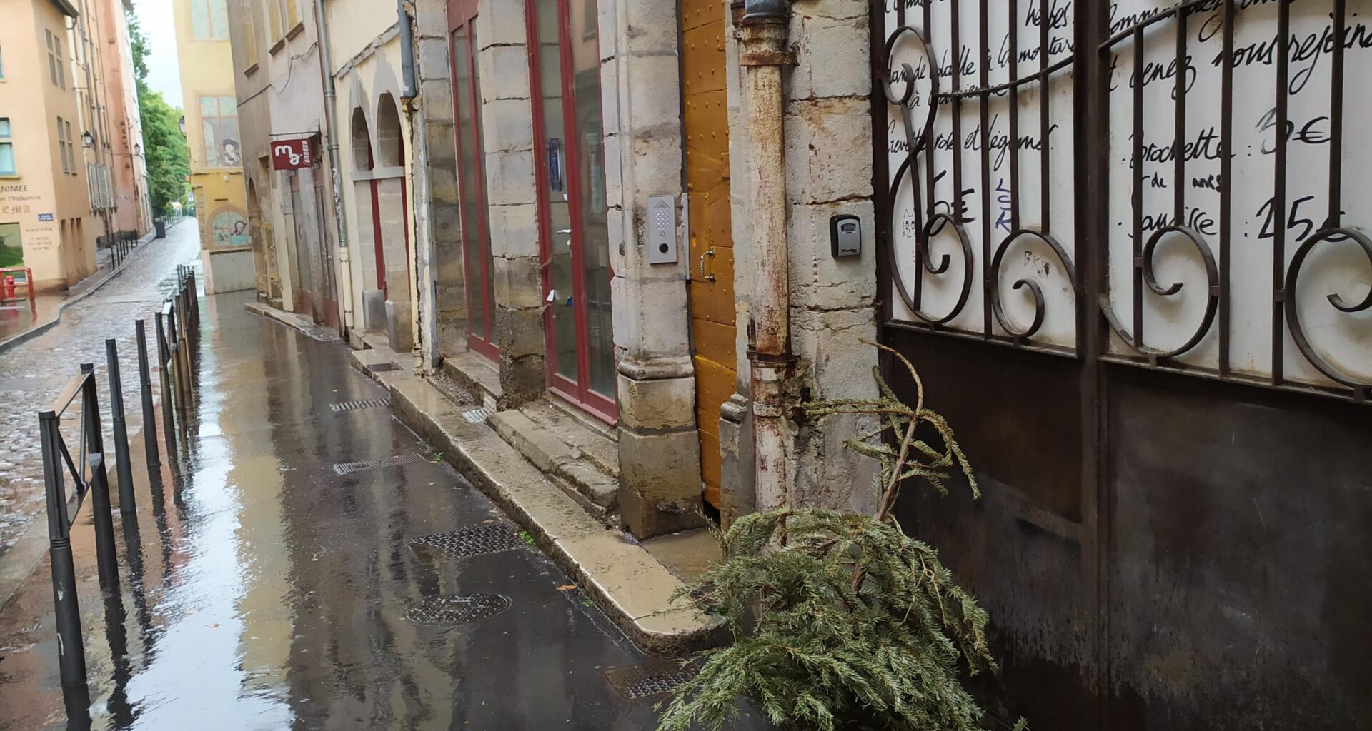 À quel niveau de flemme tu jettes ton sapin de Noël le 4 septembre de l'année suivante ?