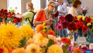 People visit "Dahlias 2025" exhibition at Latvian National Museum of Natural History in Latvia-Xinhua