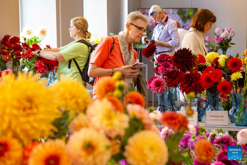 People visit "Dahlias 2025" exhibition at Latvian National Museum of Natural History in Latvia-Xinhua