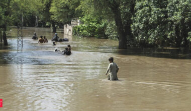 Sharing flood data with Pakistan on humanitarian ground: India