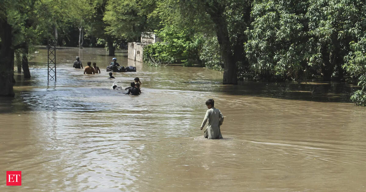 Sharing flood data with Pakistan on humanitarian ground: India