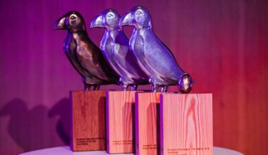 EU Culture Fund awards RIFF a two-year cooperation agreement