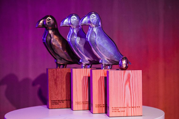 EU Culture Fund awards RIFF a two-year cooperation agreement