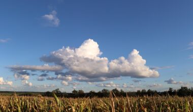 Wolken über den Feldern