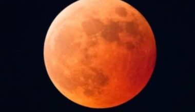 Eclissi totale di Luna, l'Italia ammira la magia del cielo del 7 settembre 2025, Foto e Video