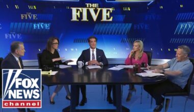 'The Five' RIDICULES Dems' ongoing woes: 'LOST ALL CREDIBILITY'