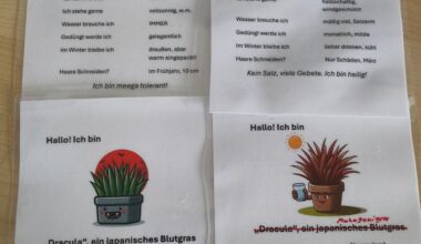 Ich habe Übersichtskarten für meine Pflanzen gestaltet und laminiert.