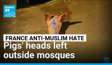 Pigs' heads left outside mosques in Paris region • FRANCE 24 English