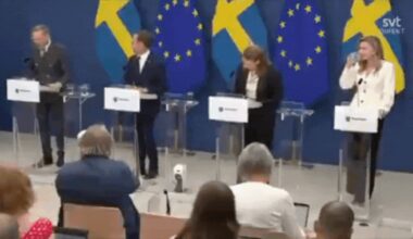 Watch: Sweden’s new health minister Elisabet Lann collapses; was holding live press briefing