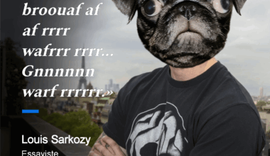 Il est mignon mais il a tendance à pisser sur tous les meubles.