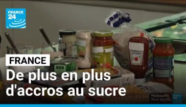 Malbouffe : les Français de plus en plus accros au sucre • FRANCE 24