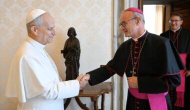 Protecting Minors Commission President presents safeguarding report to Pope
