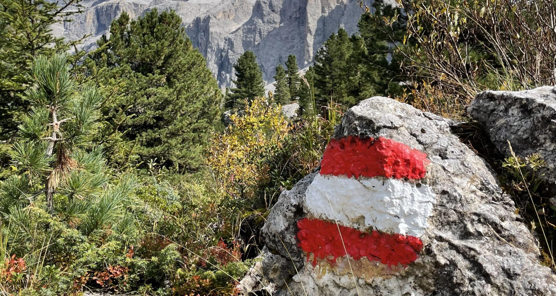 The fuck is the deal with Austrian sprayers vandalizing every single hiking trail?