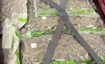 Man arrested in connection with importation of cannabis