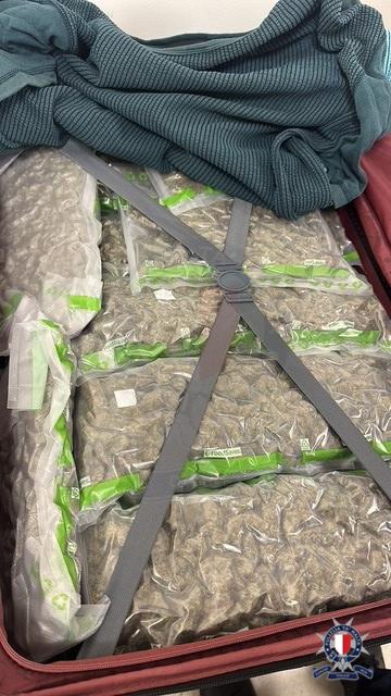 Man arrested in connection with importation of cannabis
