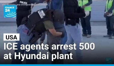US ICE agents arrest of nearly 500 at Hyundai plant sparks tensions with South Korea • FRANCE 24