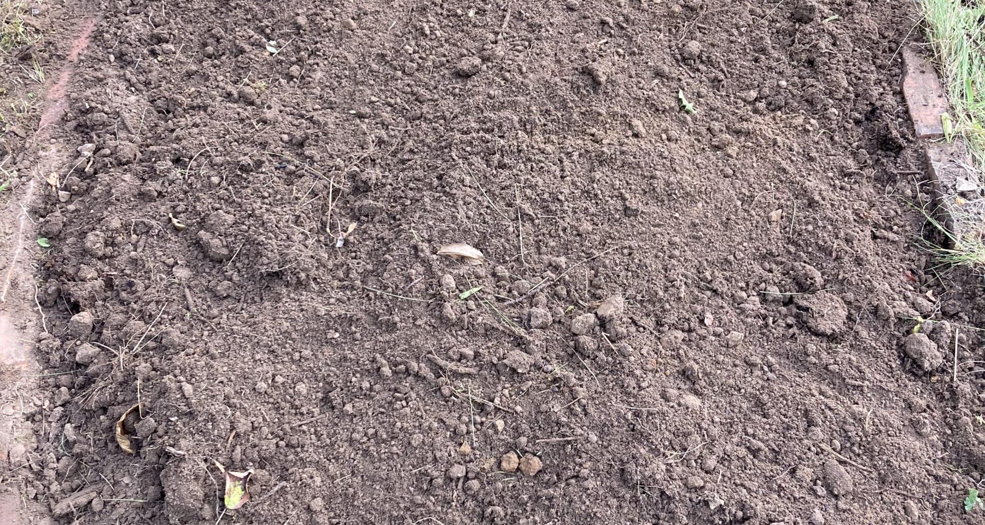 Entkrautetes Beet Pflanzempfehlungen