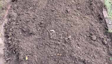 Entkrautetes Beet Pflanzempfehlungen