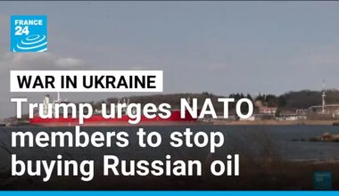 Trump calls on NATO members to stop purchasing Russian oil • FRANCE 24 English