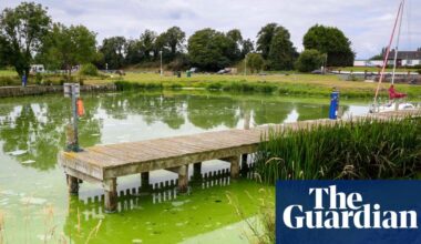 ‘It’s dying in front of our eyes’: how the UK’s largest lake became an ecological disaster