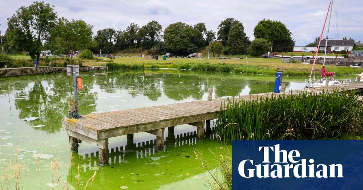 ‘It’s dying in front of our eyes’: how the UK’s largest lake became an ecological disaster