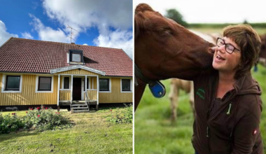 Kerstin och Göran skänker bort
villan på Öland – på ett villkor | Sverige