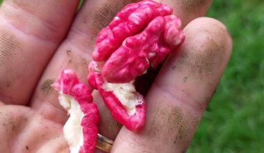 Tak a dost, todle LGBT fakt přehnalo! Proč mám růžovofialový ořechy?!