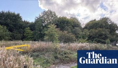Man arrested over ‘racially motivated’ rape of woman in West Midlands | UK news