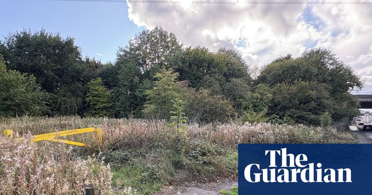 Man arrested over ‘racially motivated’ rape of woman in West Midlands | UK news