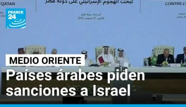 Países árabes e islámicos exigen sanciones contra Israel