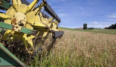 Opinion | Farmers are in Trouble—Restructuring the USMCA Could Turn Things Around
