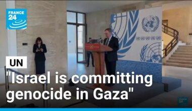 United Nations commission of inquiry accuses Israel of genocide in Gaza • FRANCE 24 English