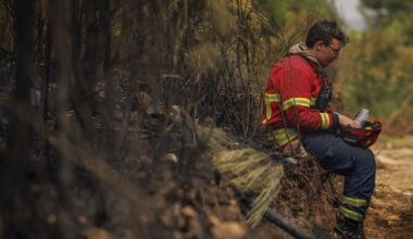 Plans to professionalise firefighting first responders