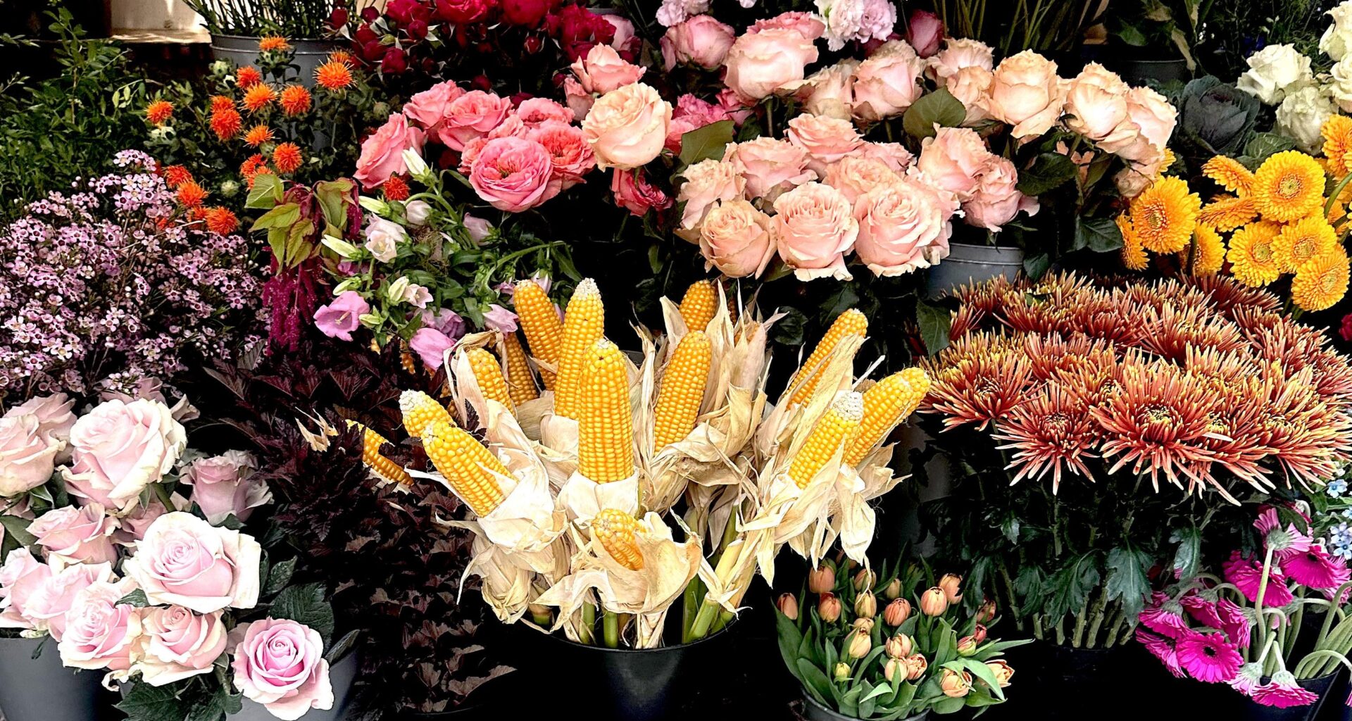 What occasion would you gift corn…