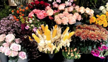 What occasion would you gift corn…