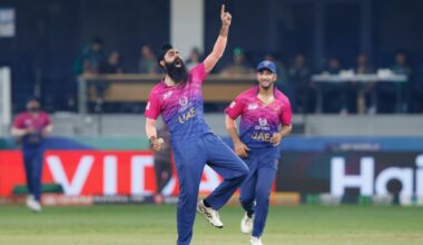 An Indian and a Pakistani hit the right pitch for UAE cricket