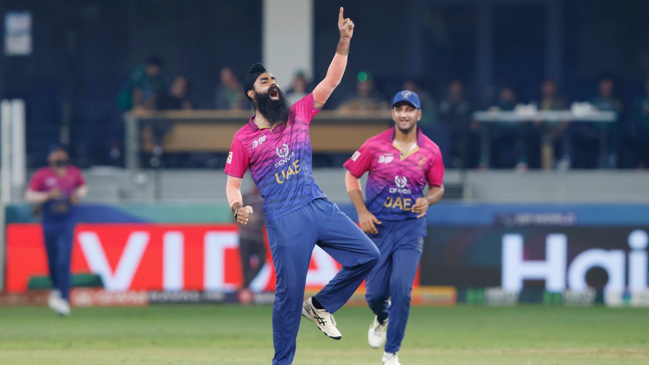 An Indian and a Pakistani hit the right pitch for UAE cricket