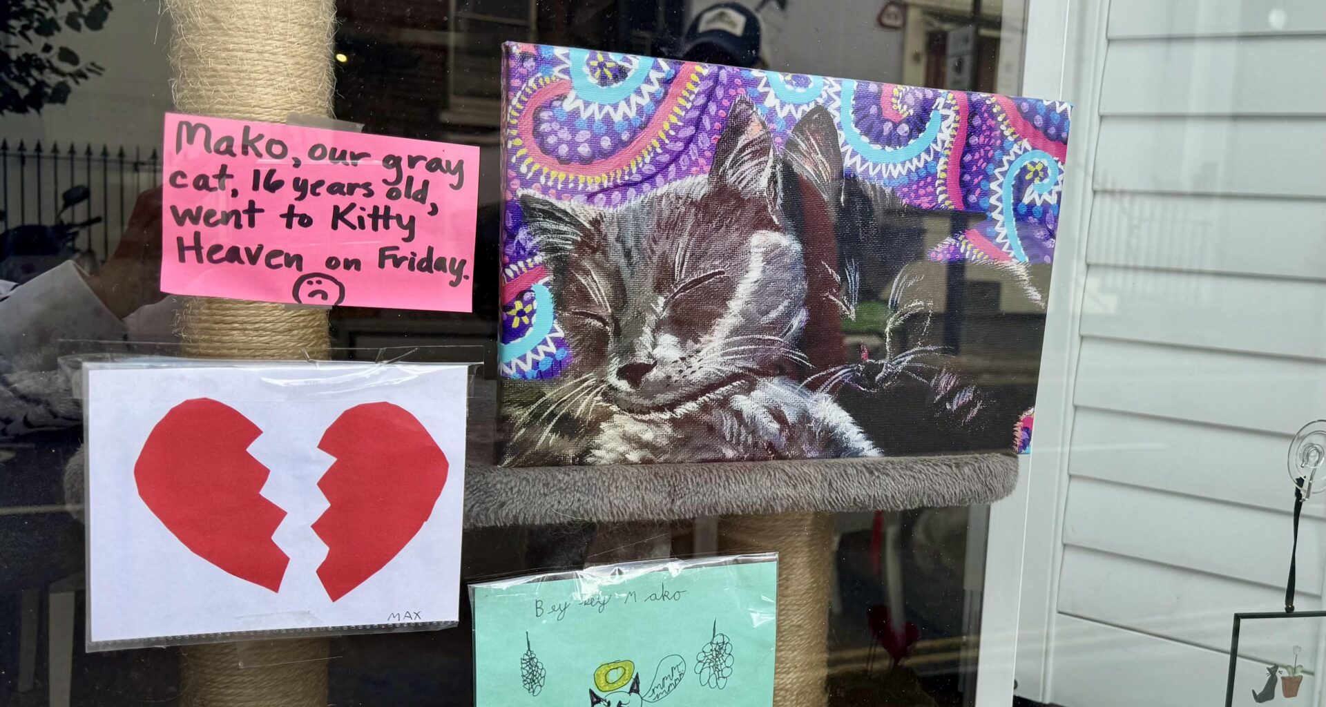 A heartwarming story of kind neighbors