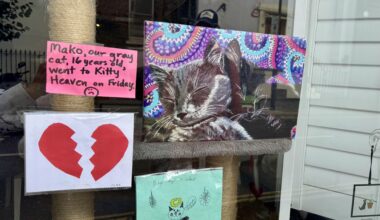A heartwarming story of kind neighbors