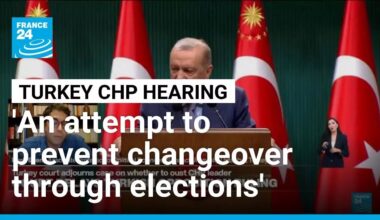 'This is an attempt to prevent government turnover through the ballot box' • FRANCE 24 English