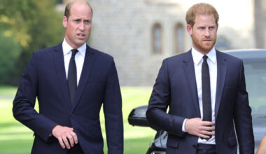 Prince Harry and Prince William to reconcile 'in the not-too-distant future'