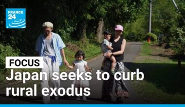 Fancy a move to the countryside? Japan seeks to curb rural exodus • FRANCE 24 English