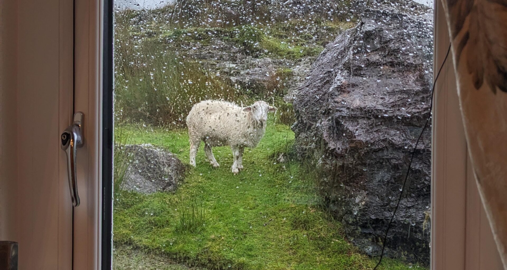 Is this the Welshest photo ever? (Allegedly)