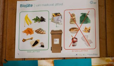Too much food in the trash: Finland risks EU fines for failing to sort waste properly | Yle News