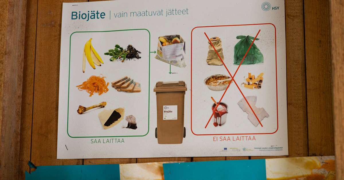 Too much food in the trash: Finland risks EU fines for failing to sort waste properly | Yle News