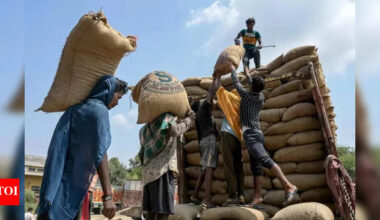 Punjab faces unrest as hostility towards migrant workers threatens agri, industry | Chandigarh News