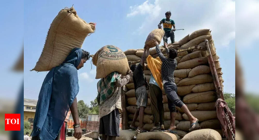 Punjab faces unrest as hostility towards migrant workers threatens agri, industry | Chandigarh News